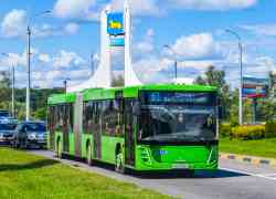 Gomel, MAZ-216.047 # 016403