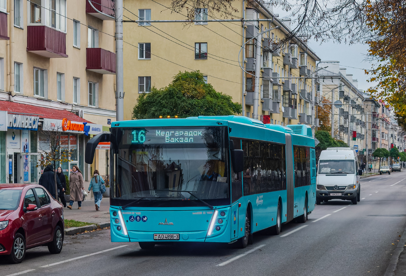 Gomel, MAZ-216.047 # 26476