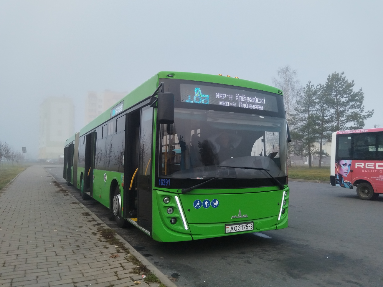 Gomel, MAZ-216.047 # 016391