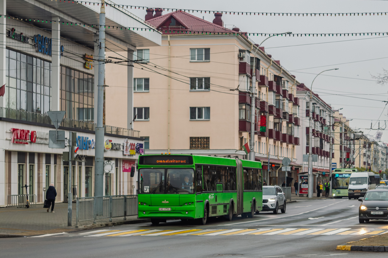 Gomel, MAZ-105.465 # 12040