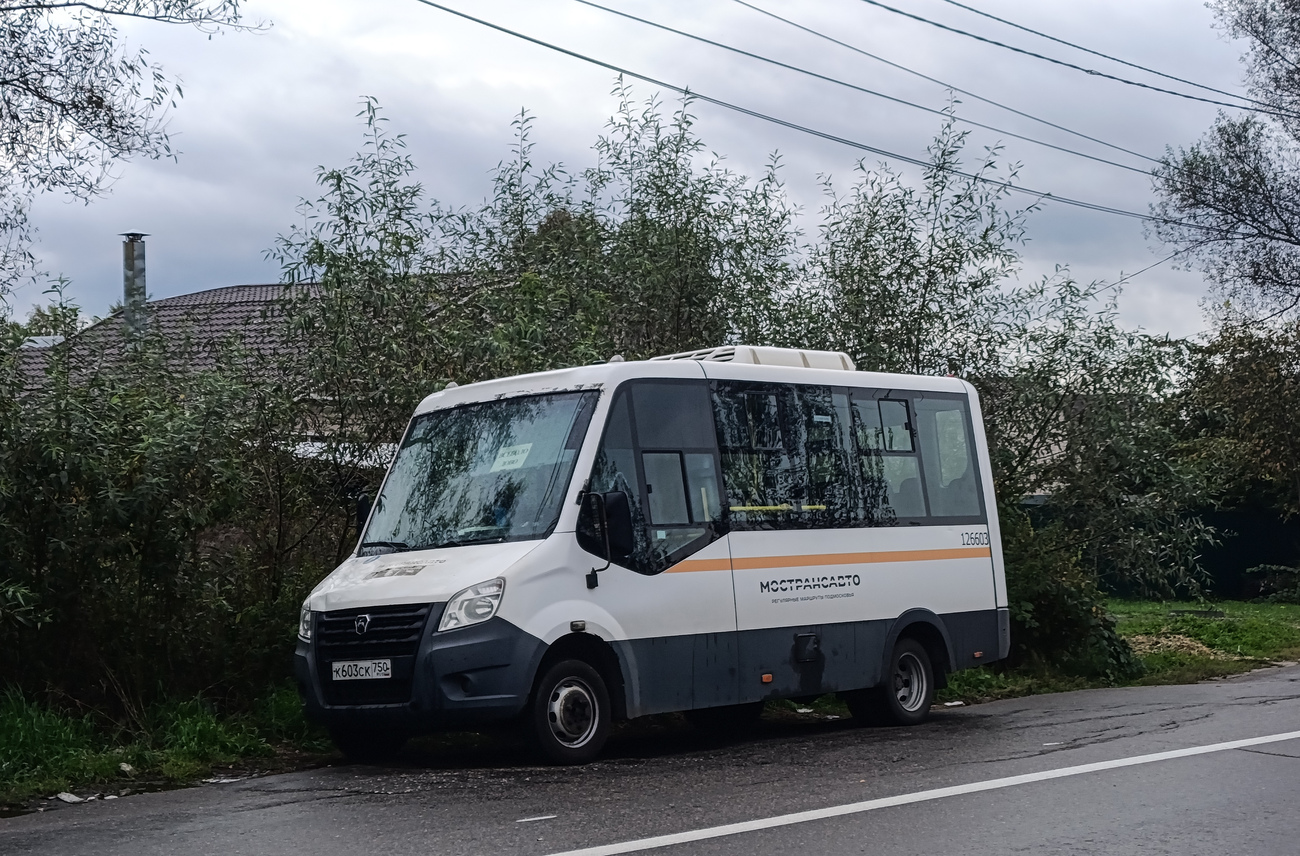 Pavlovskiy Posad, Луидор-2250DS (ГАЗ Next) # 126603