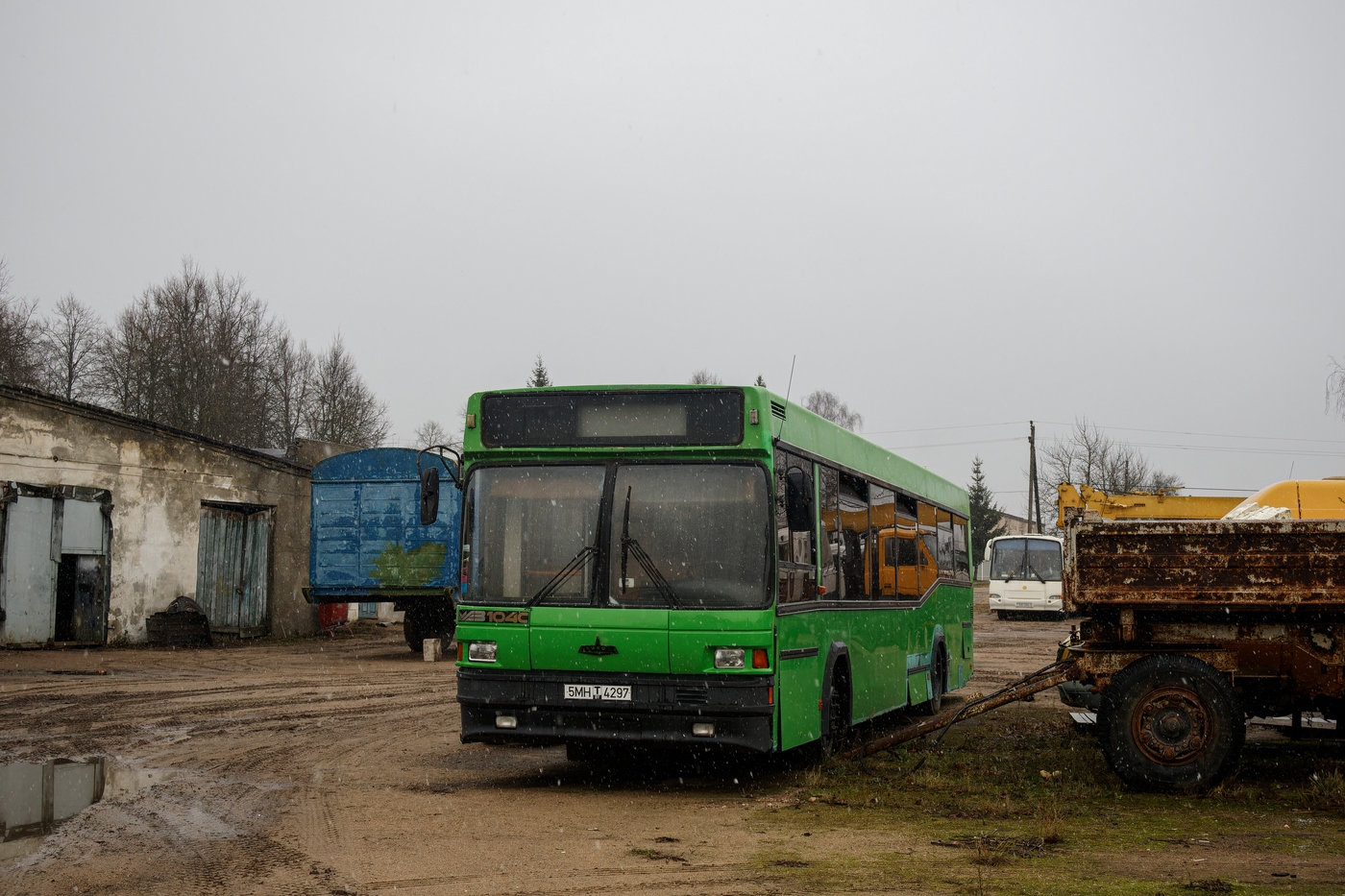 Cherven, MAZ-104.С20 # ОВ 5550; Cherven, KAvZ-4238-** # ВВ 1264-5