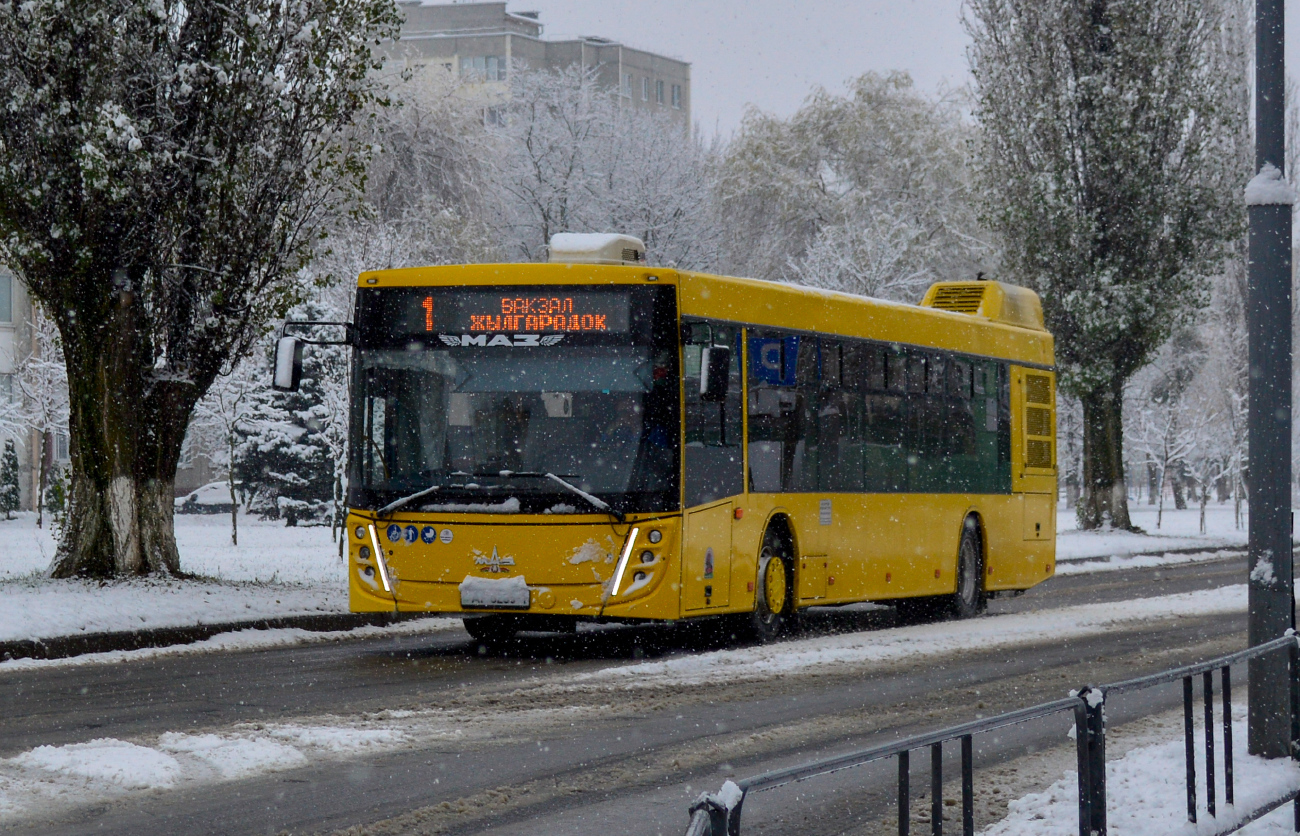 Pinsk, MAZ-203.047 # 41917