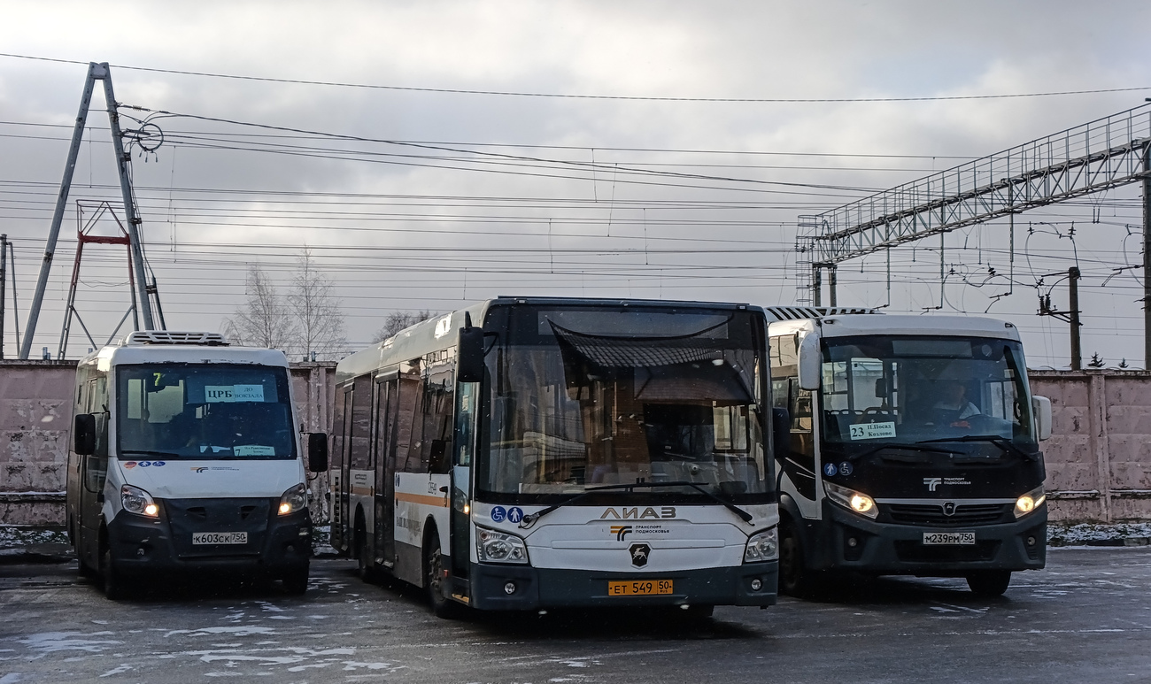 Pavlovskiy Posad, Луидор-2250DS (ГАЗ Next) # 126603; Pavlovskiy Posad, LiAZ-4292.60 # 126549