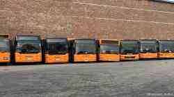 Gelsenkirchen, Neoplan N4416 Centroliner # GE-VR 416; Gelsenkirchen, MAN A21 NL263 # GE-VR 270; Gelsenkirchen, MAN A21 Lion's City NL283 # GE-VR 238; Gelsenkirchen, MAN A21 Lion's City NL283 # GE-VR 232; Gelsenkirchen, MAN A10 NL222 # GE-VR 221; Gelsenkirchen, Neoplan N4416 Centroliner # GE-VR 413